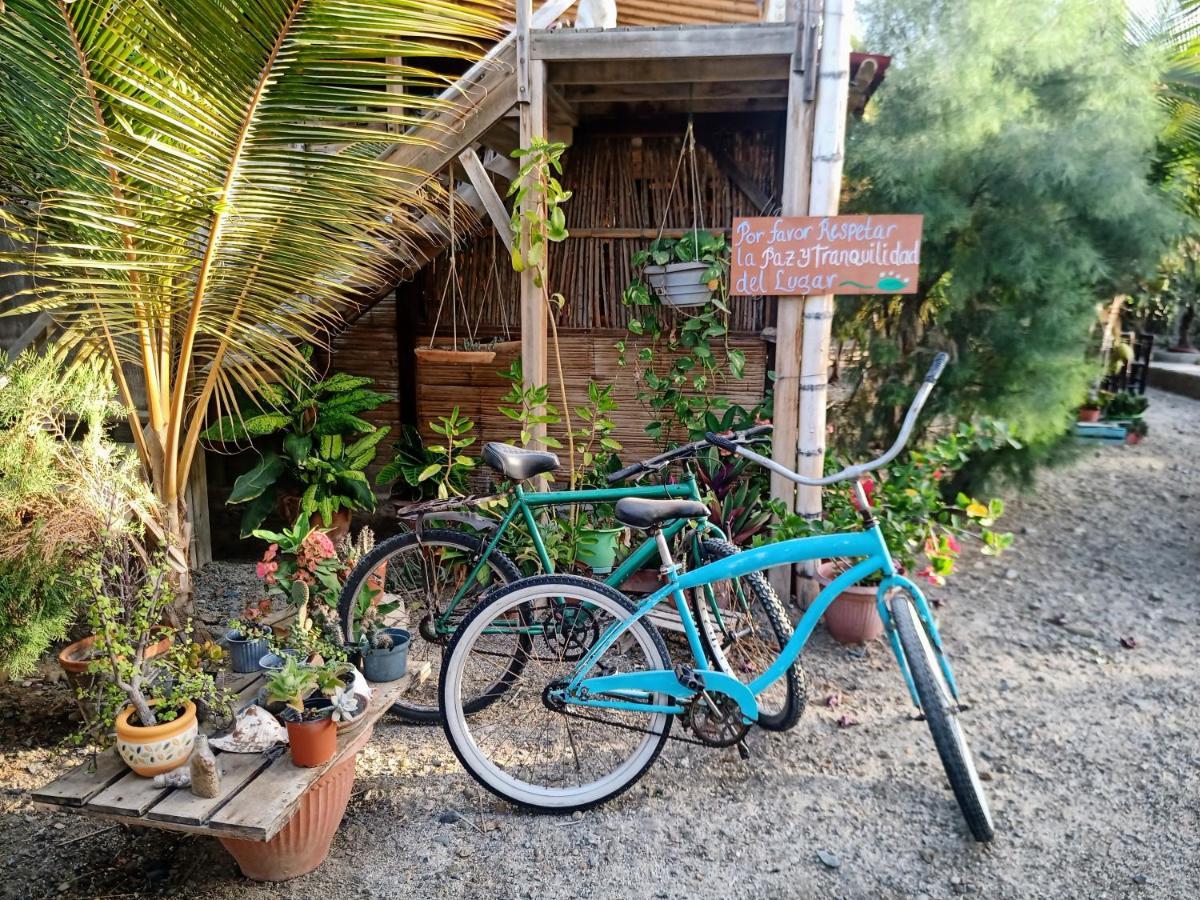 Guacamayo Bed & Breakfast Máncora Exterior photo