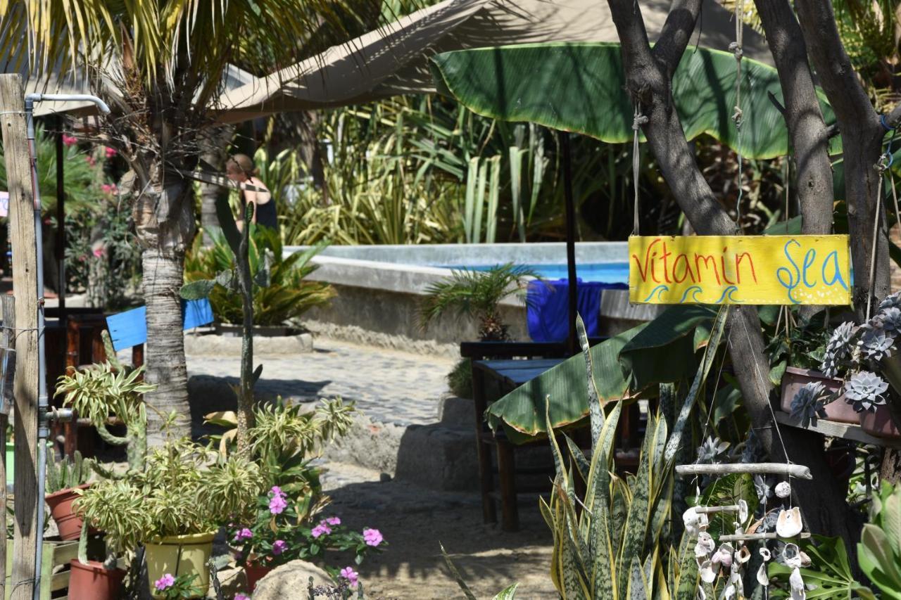 Guacamayo Bed & Breakfast Máncora Exterior photo